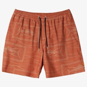 Men’s XL quicksilver waterman’s board short.